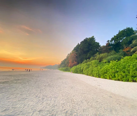 Looking For Andaman Tour Booking from Kolkata? - Grab Best Package by NatureWings