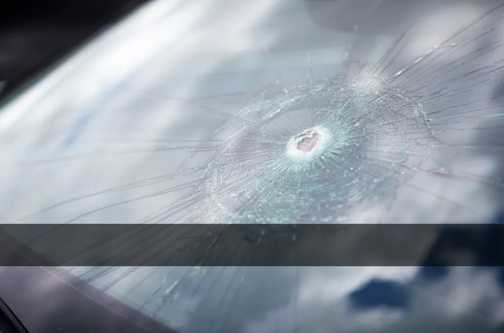 Protect Your View: Repair That Chip