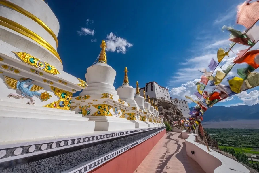 Puja Spl Ladakh Package Tour from Delhi with NatureWings