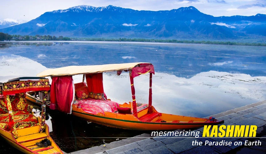 Kashmir Package Tour from Kolkata with NatureWings