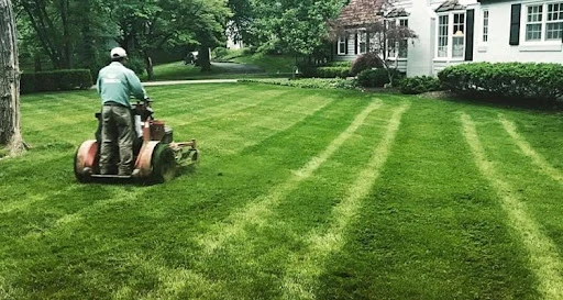 Why Choose a Professional Lawn Care Service for Your Home?