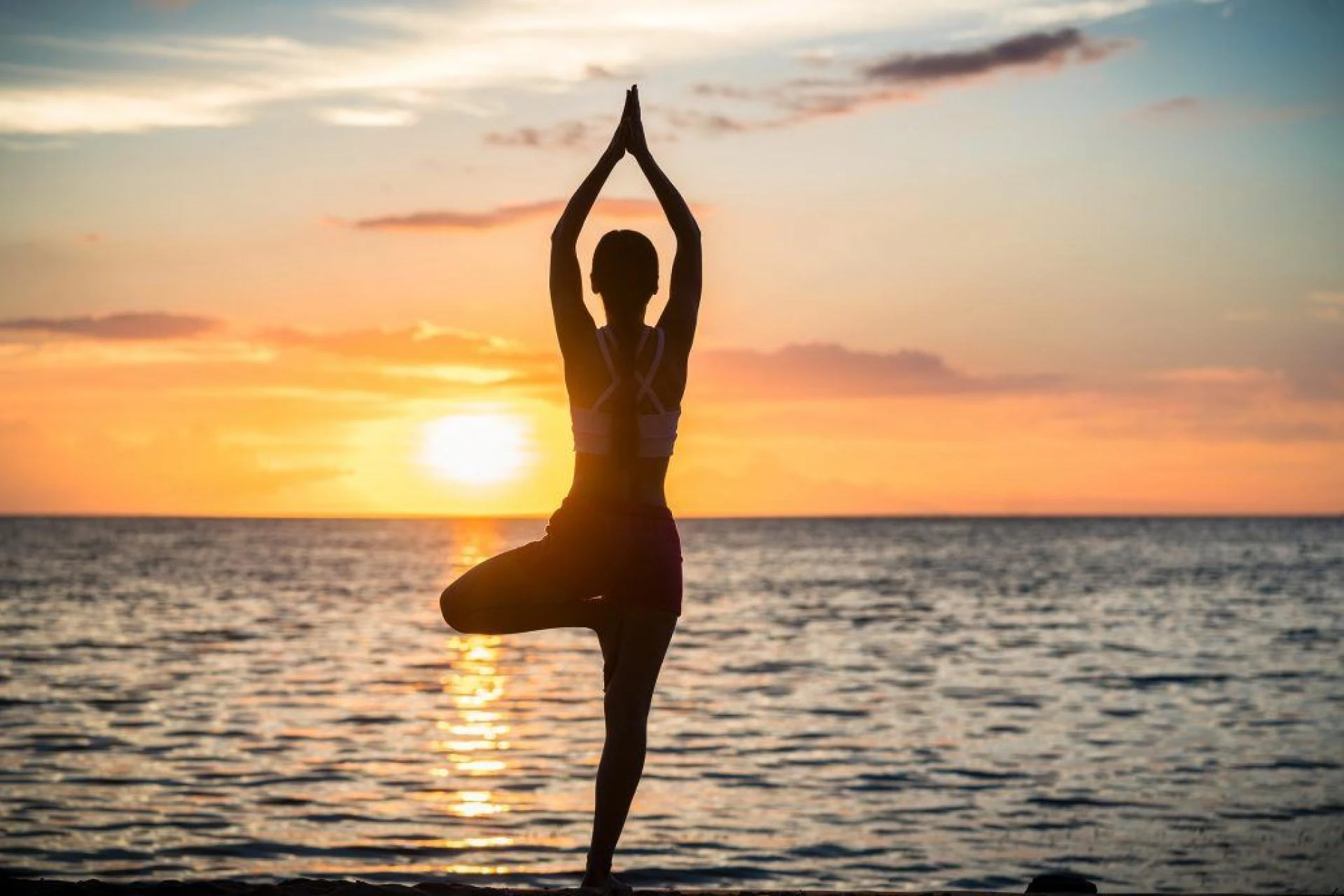 11 Best Health and Wellness Sectors