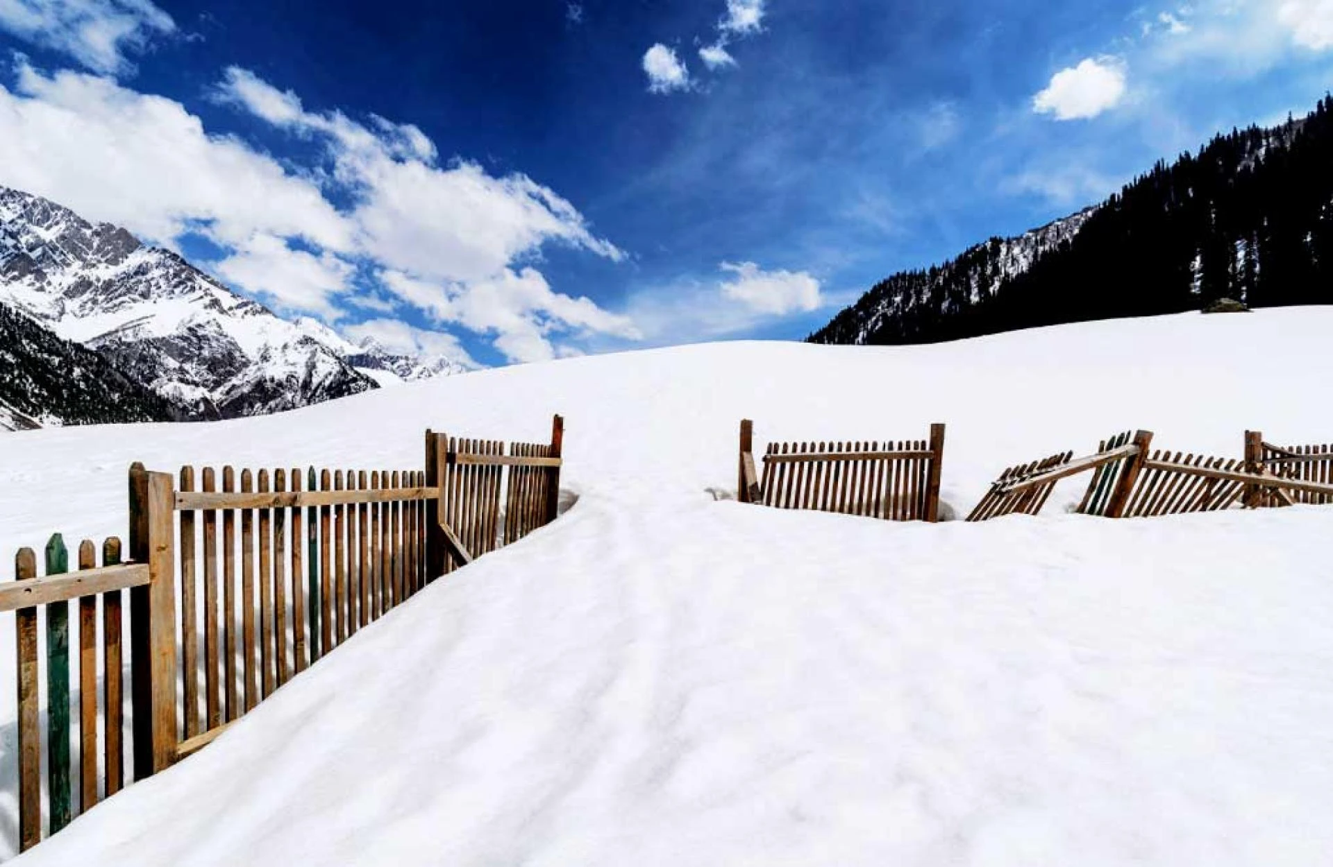 Kashmir Package Tour from Kolkata with NatureWings