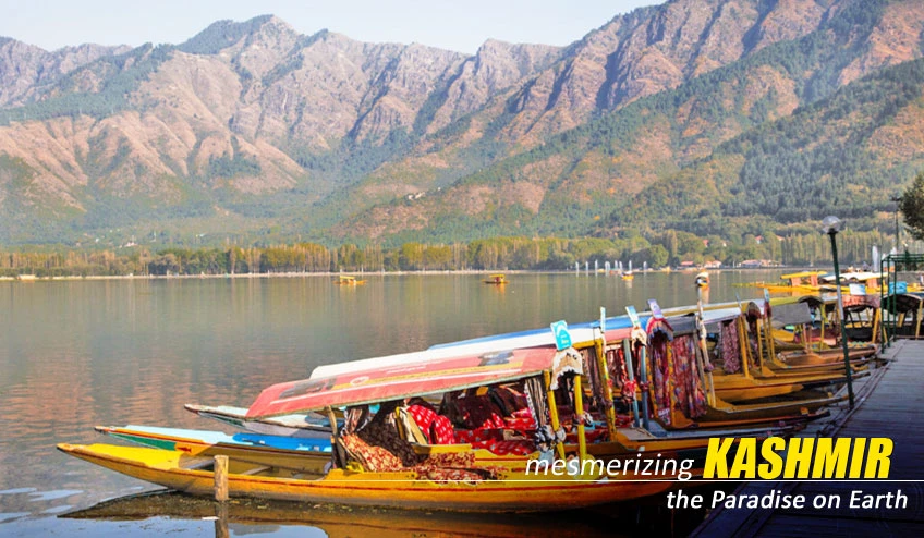 Kashmir Package Tour from Kolkata with NatureWings