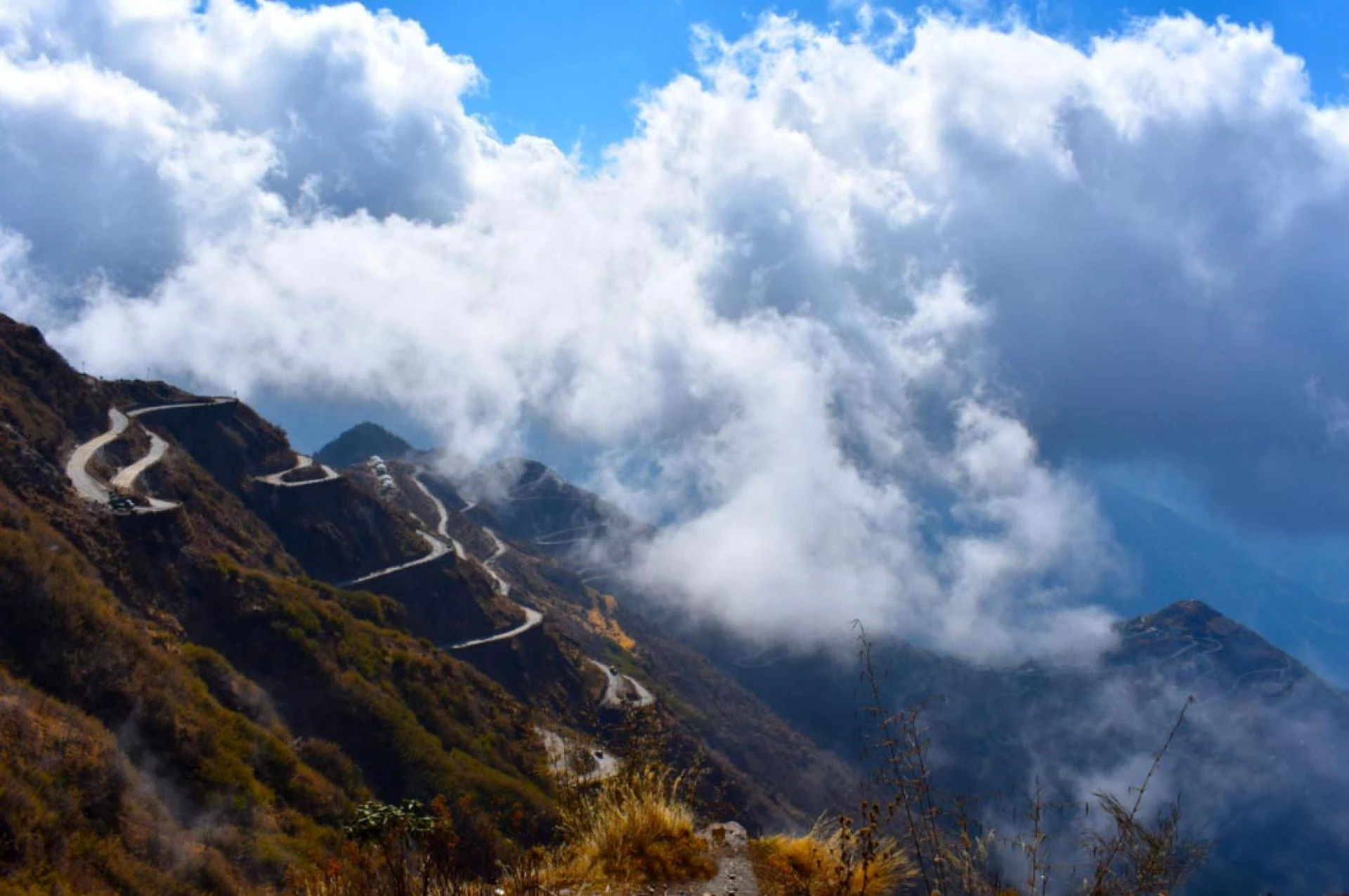 Silk Route Tour Package from NatureWings. 2022 BEST OFFER, HURRY !!!