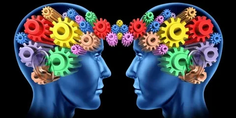 Understanding Neuropsychology: A Bridge Between the Brain and Behavior