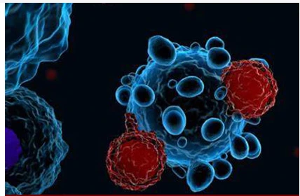 Top Innovations to Watch at Oncology Congress 2024