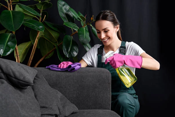 How To Cleaning Your Fabric Couch