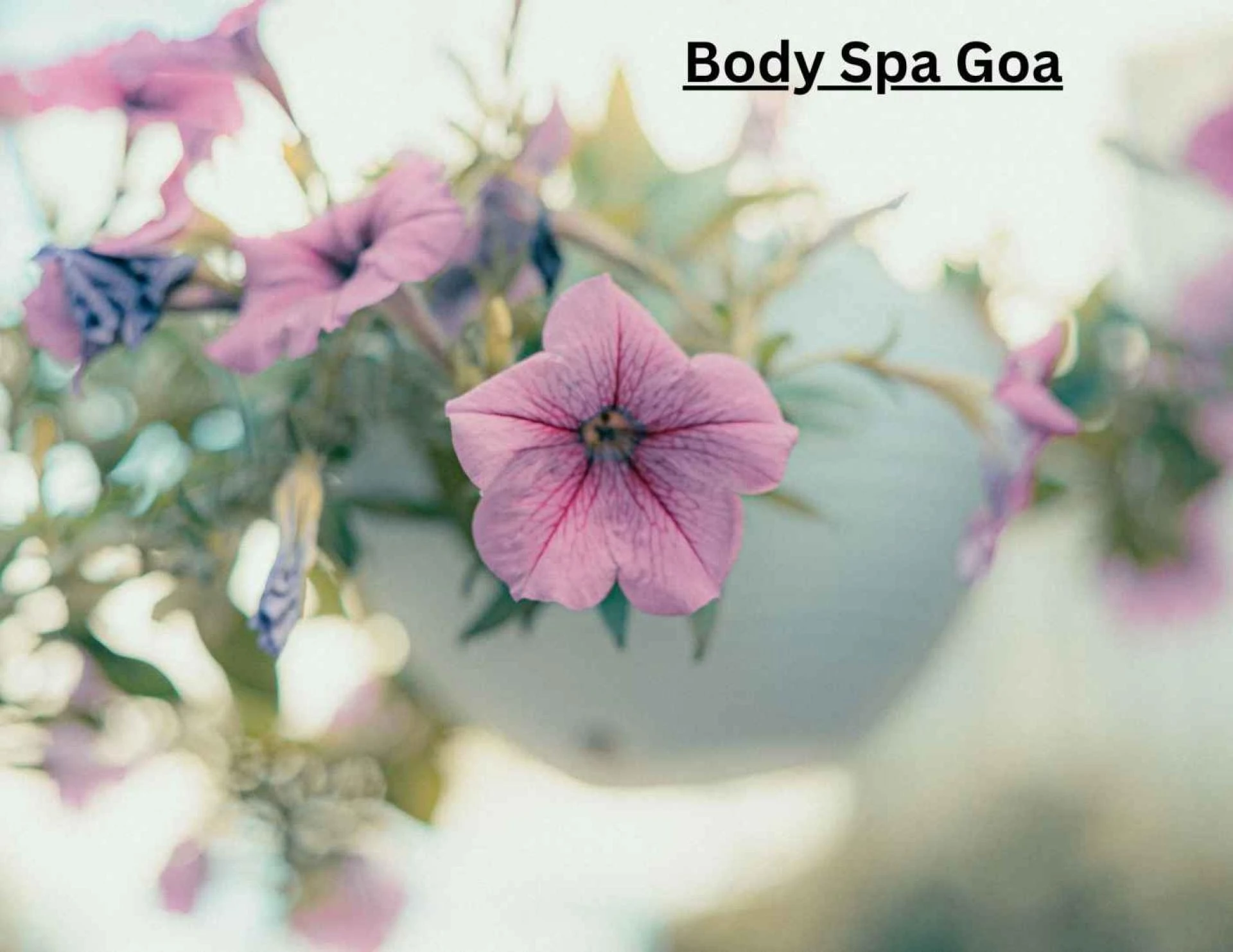 Best Spa in Goa with Price Body Massage Centers near me