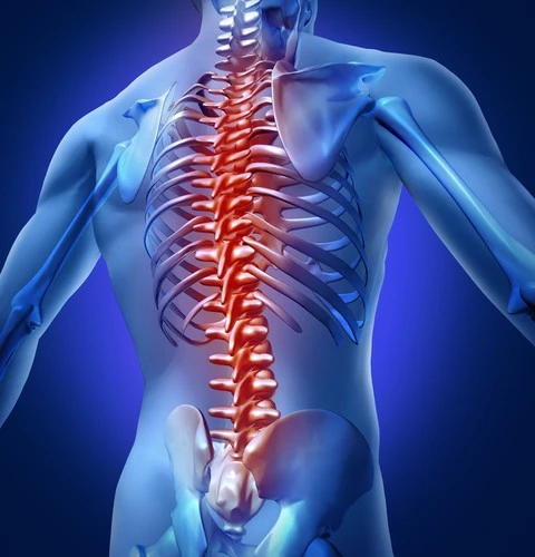 Leading the Way: Best Spine Surgery Hospitals in India