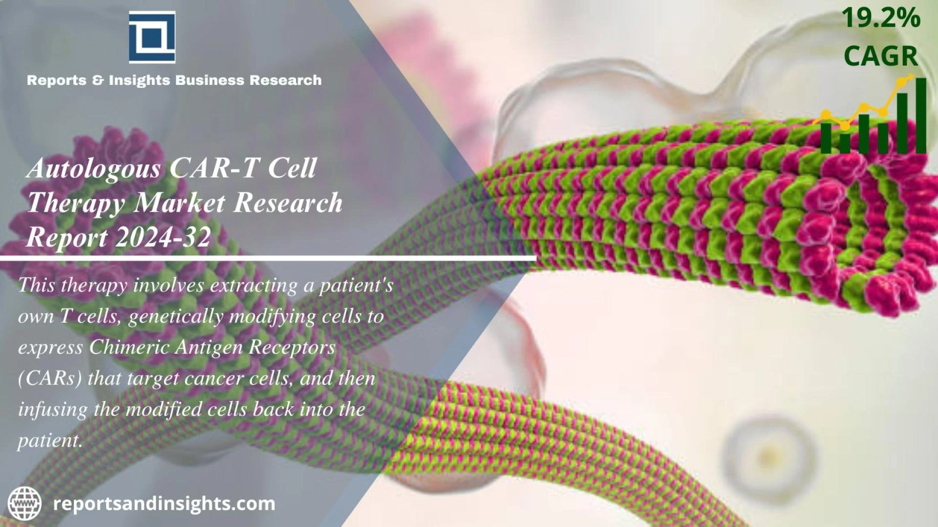 Autologous CAR-T Cell Therapy Market Analysis Report 2024-32