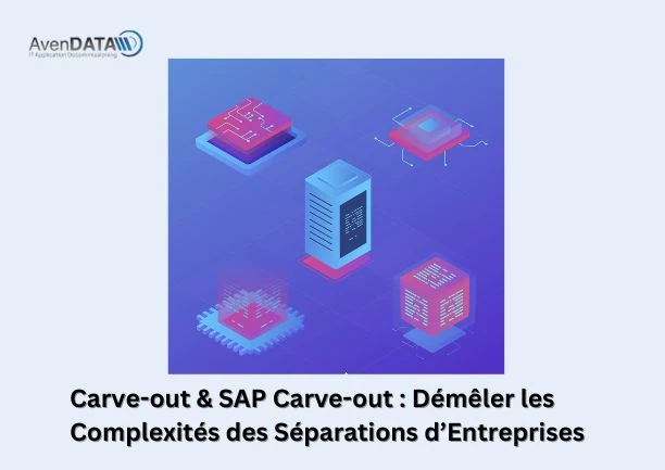 Carve-out &amp; SAP Carve-out : Démêler les Complexités des Séparations d’Entreprises