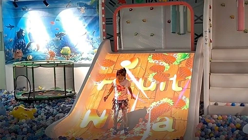 What\'s a Commercial Vs a Home Theater Projector? Do I Need a 4K HDR Projector?