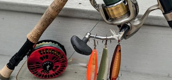 Crystal River Fishing Trip