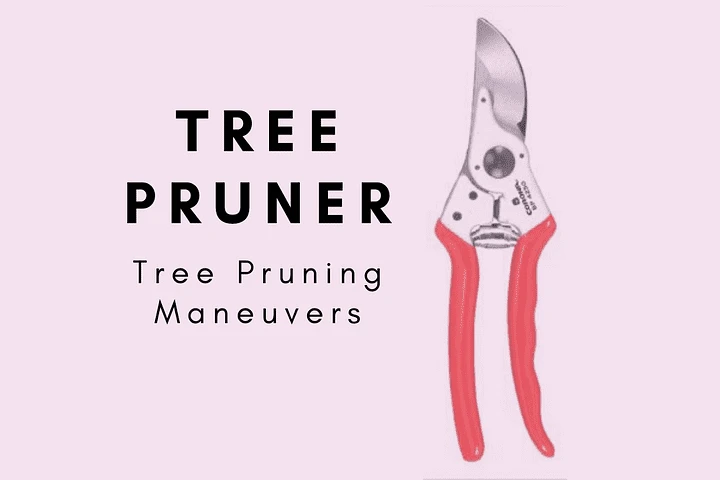 The 10 maximum popular things all of us is buying on Amazon proper now