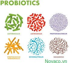 Nguyên liệu men vi sinh là gì?