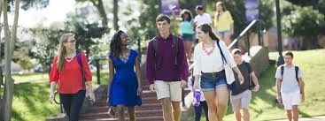 GREAT COLLEGE ADVICE TO MAKE GREAT STRIDES