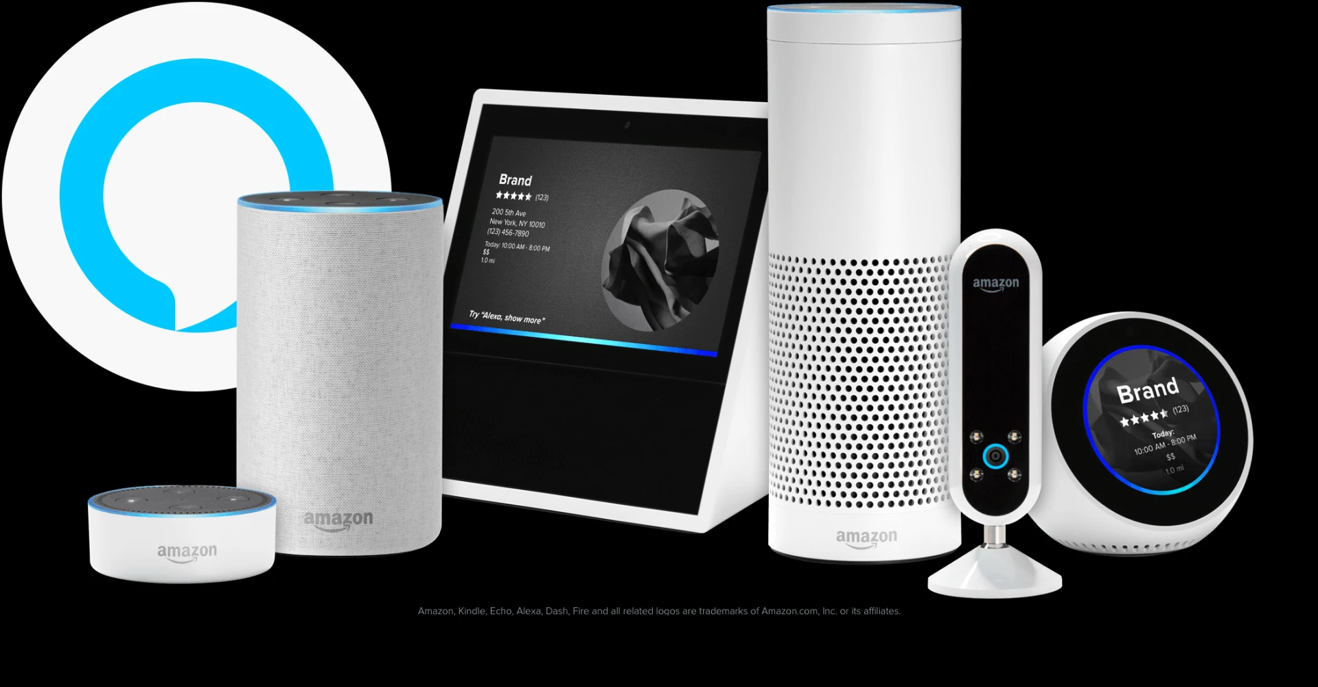 Searching Steps to Get Alexa App and Echo Dot Setup?