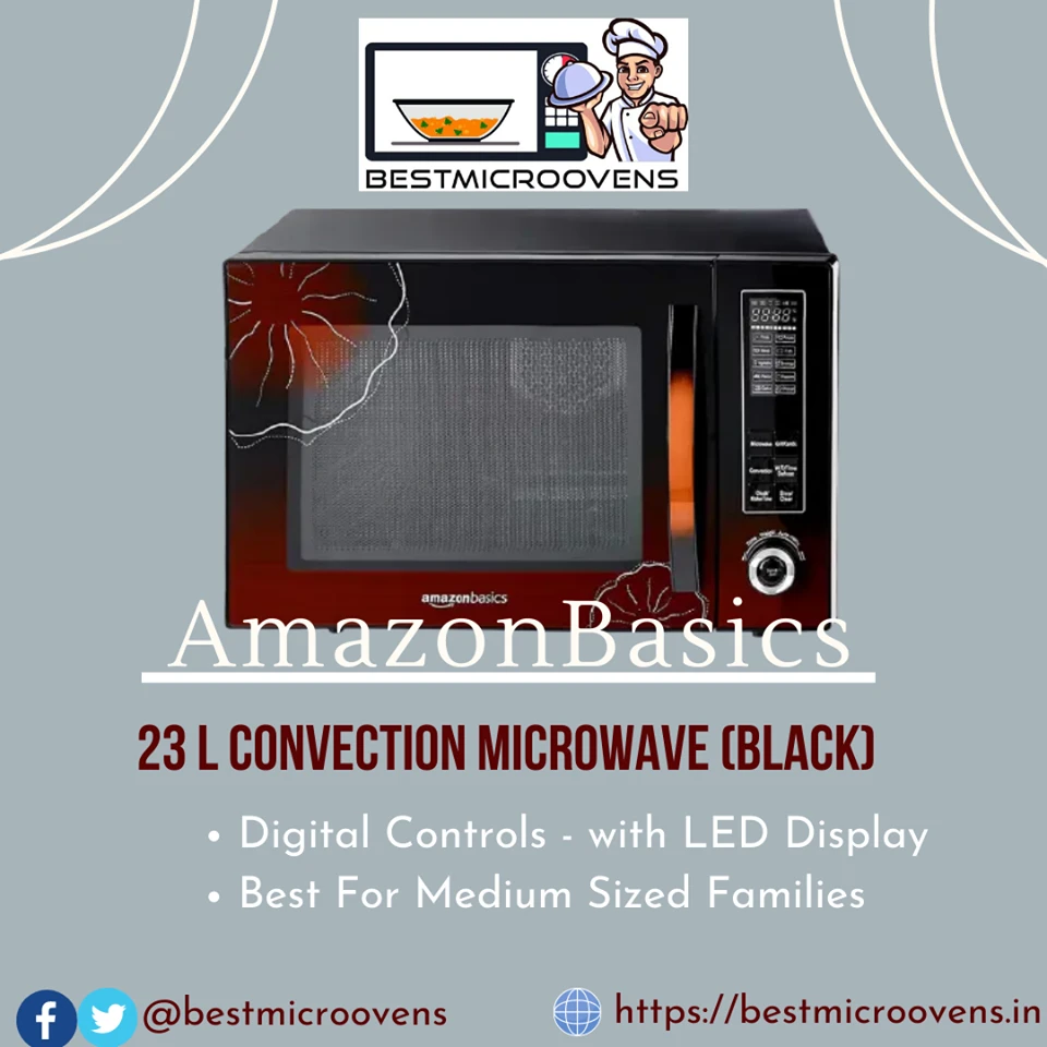 Best Convection Microwave Oven Under 6000