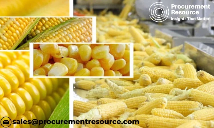Comprehensive Analysis of Corn Processing Production Costs and Manufacturing Process: Insights into Raw Material Requirements