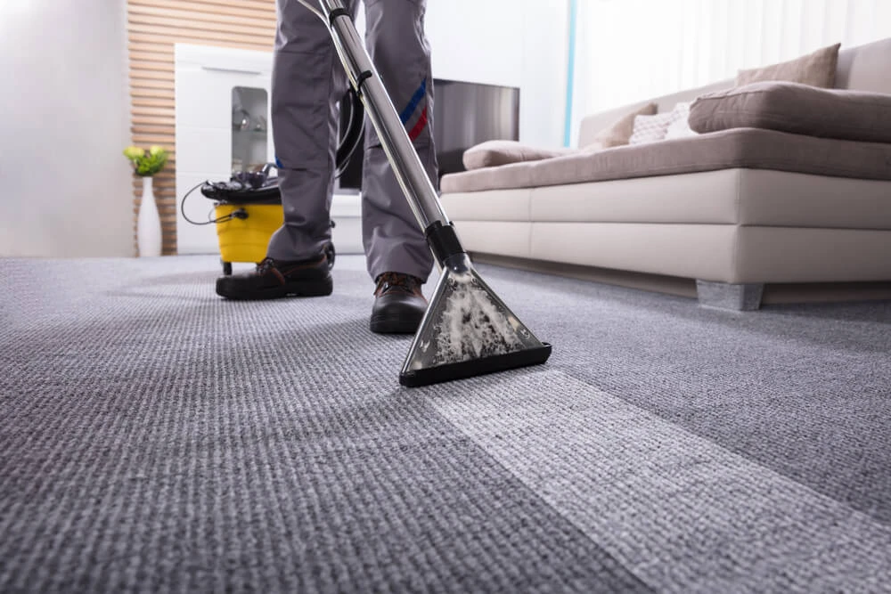 Advantages of Hot Water Extraction and Dry Carpet Cleaning