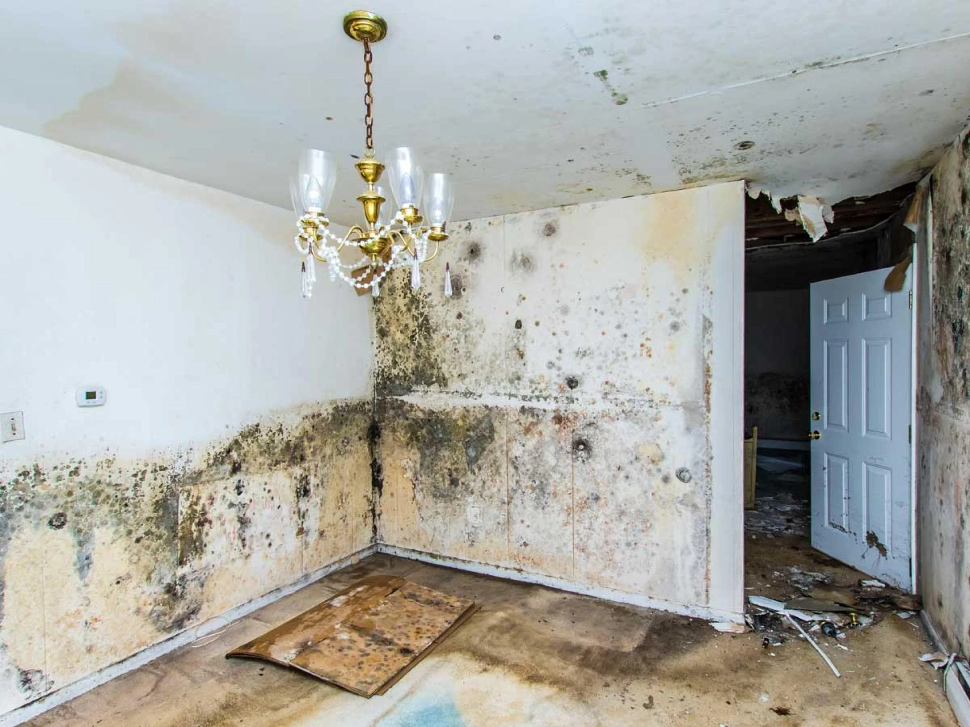 Find the Best Water Damage Restoration Austin TX