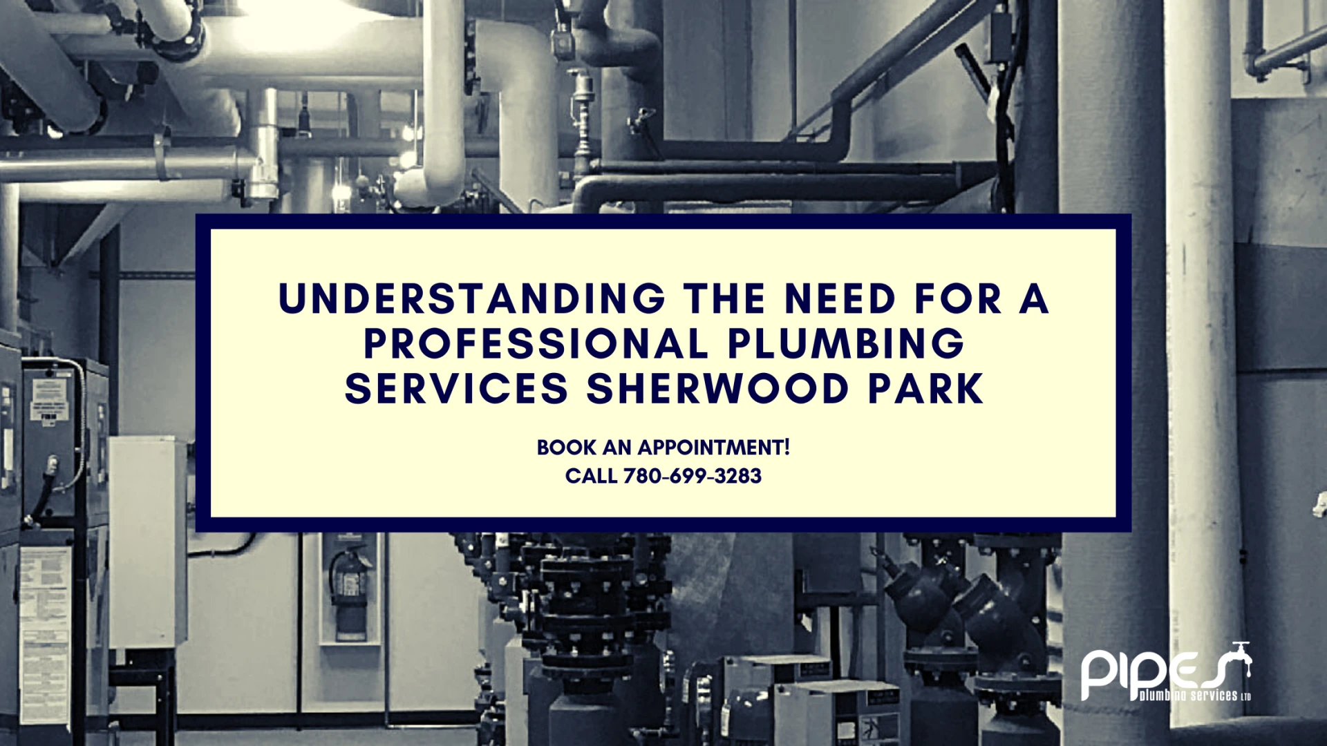 Understanding The Need For a Professional Plumbing Services Sherwood Park