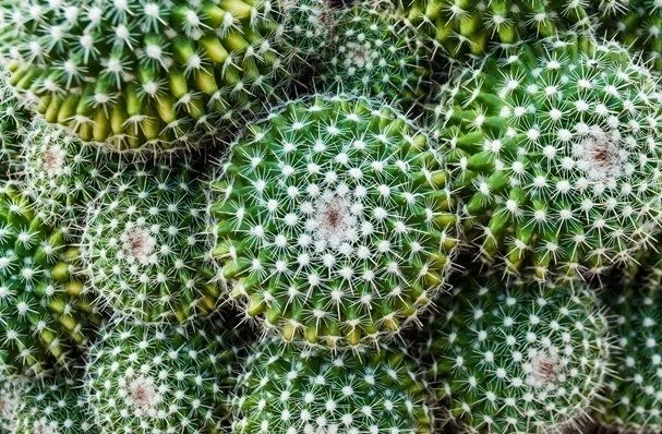 Prada released the Collection Fall / winter 2020 in collaboration with Vogue Korea.