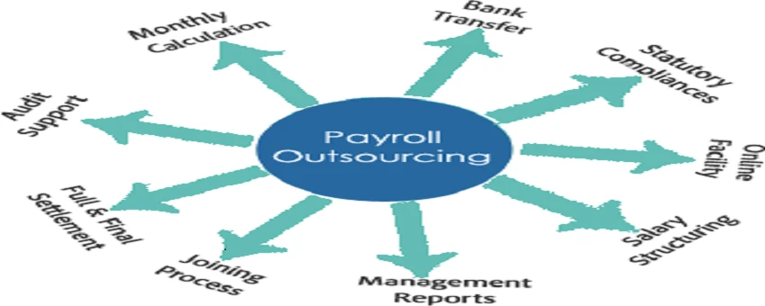 Online Payroll Service Basics