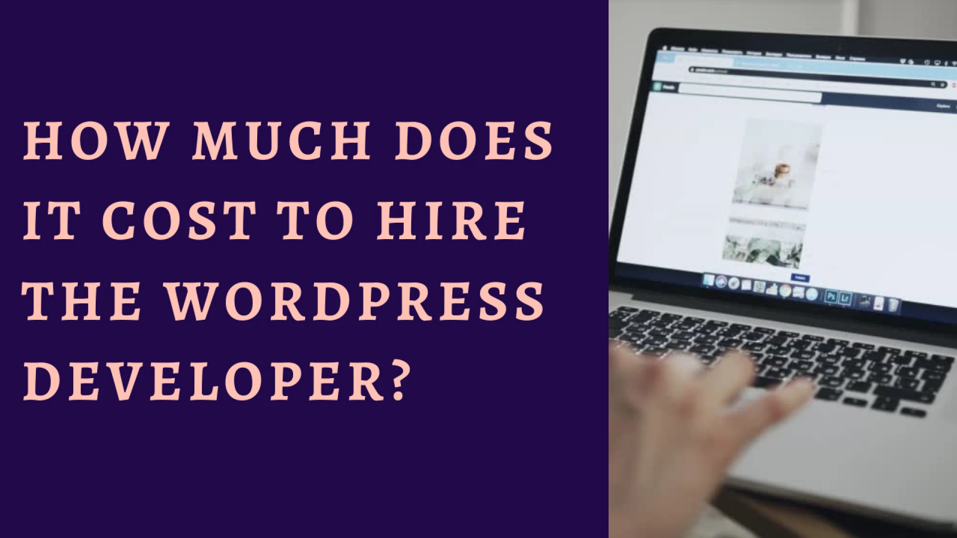 How much does it cost to Hire the WordPress Developer?