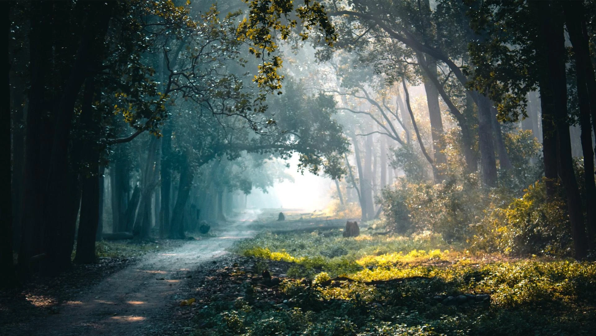 The Wilderness of Jim Corbett National Park is bound to astound your senses