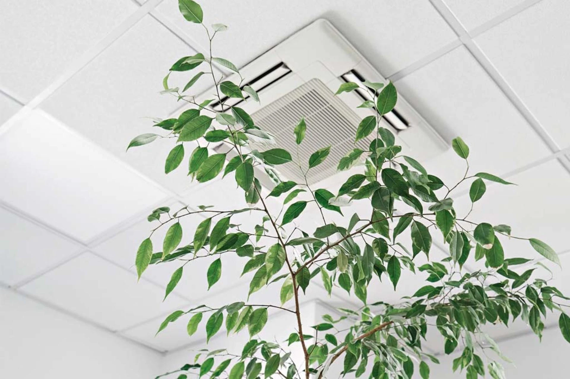 How to Ensure Good IAQ in Winter