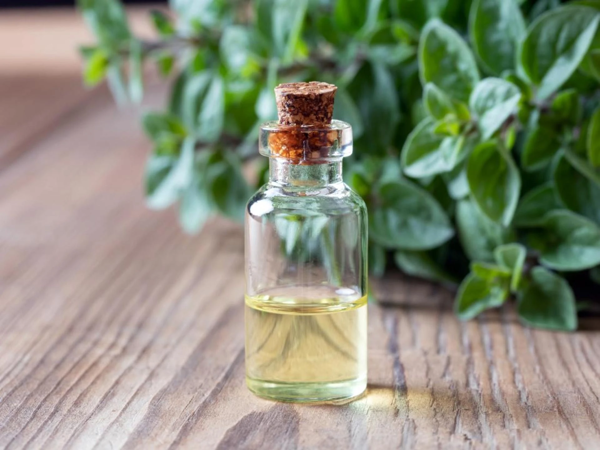 Essential Oils Market Share 2021, Size, Trends, Forecast and Analysis of Key Players 2026