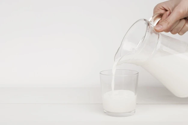 How does Camel Milk help In Curing Autism?