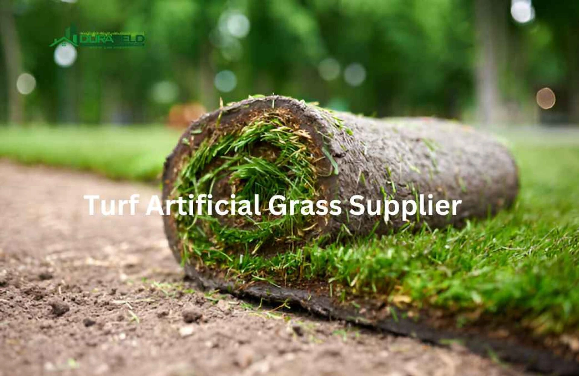 Understanding the Common Tips for Artificial Grass Care