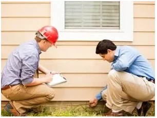Top ways to protect carport timber from termite attack