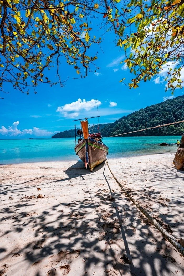 Prepare to travel to Surin Island on 15 October