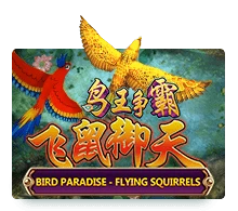 Bird Paradise-Flying Squirrels Slot Game Review