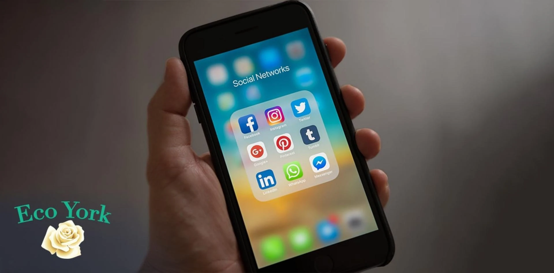 How to Dominate Social Media in 2021 - EcoYork