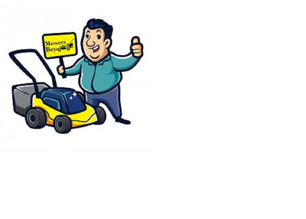 The Best Type Of Mower For Your Lawn