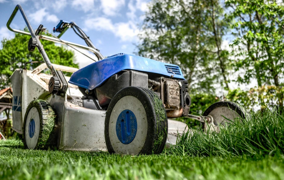 How To Prepare Your Lawn For The Upcoming Summer