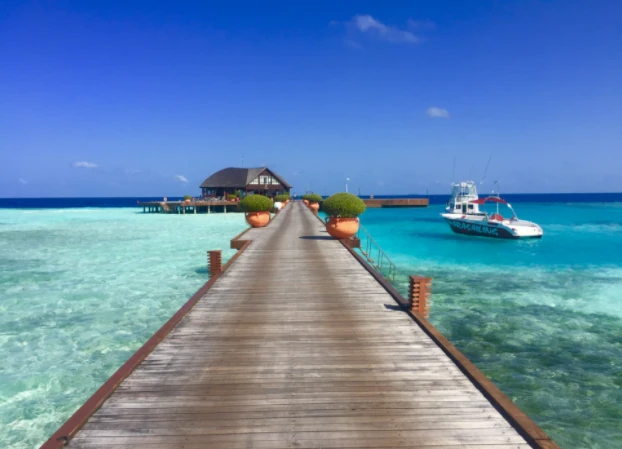 Top Vegetarian and Vegan picks in the Maldives