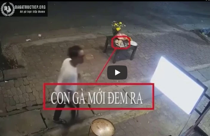 Ngán ngẫm với những thanh niên trộm gà luộc cũng tháng cô hồn