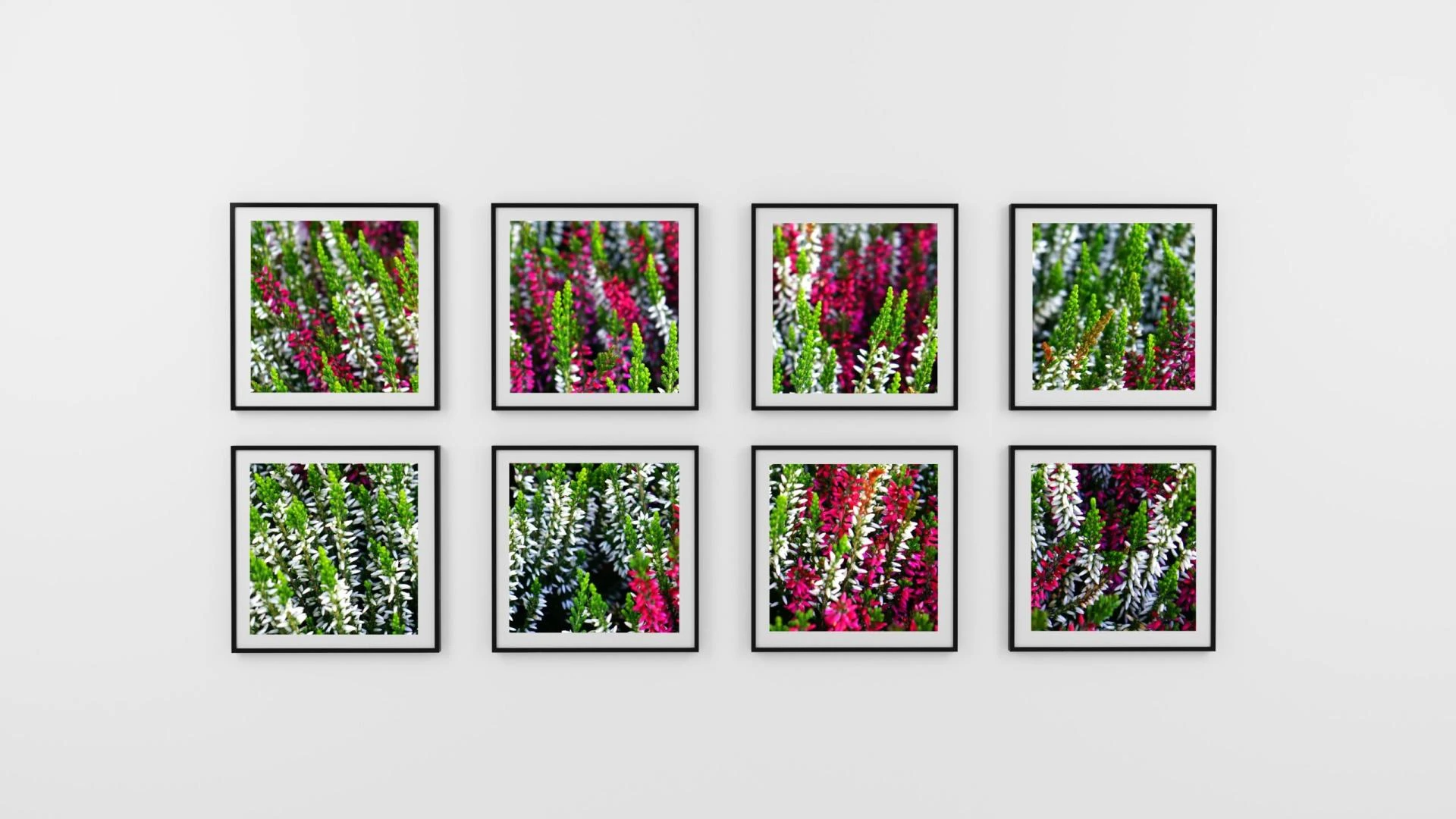 Tips to Dress Up Your Home Walls