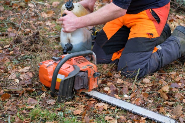 Petrol vs. Electric Chainsaw: Which one to choose?