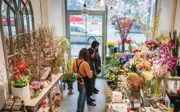 Cần nguồn lấy cây cảnh giá sỉ thì nên lấy ở đâu?