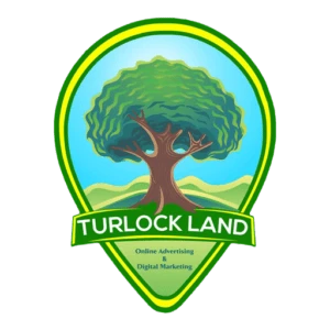 How To Choose A Website Design Company In Turlock?