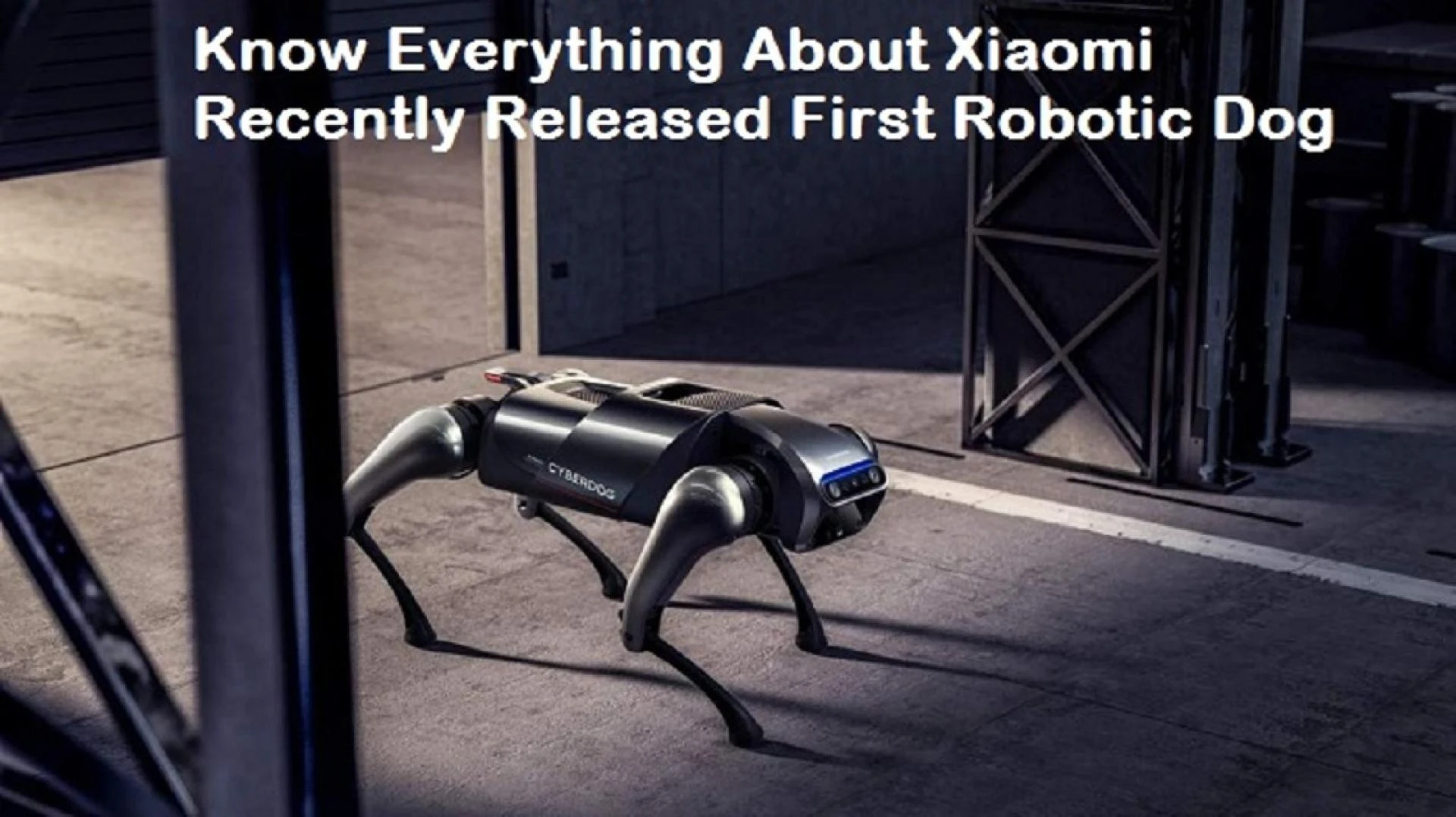 Know Everything About Xiaomi Recently Released First Robotic Dog