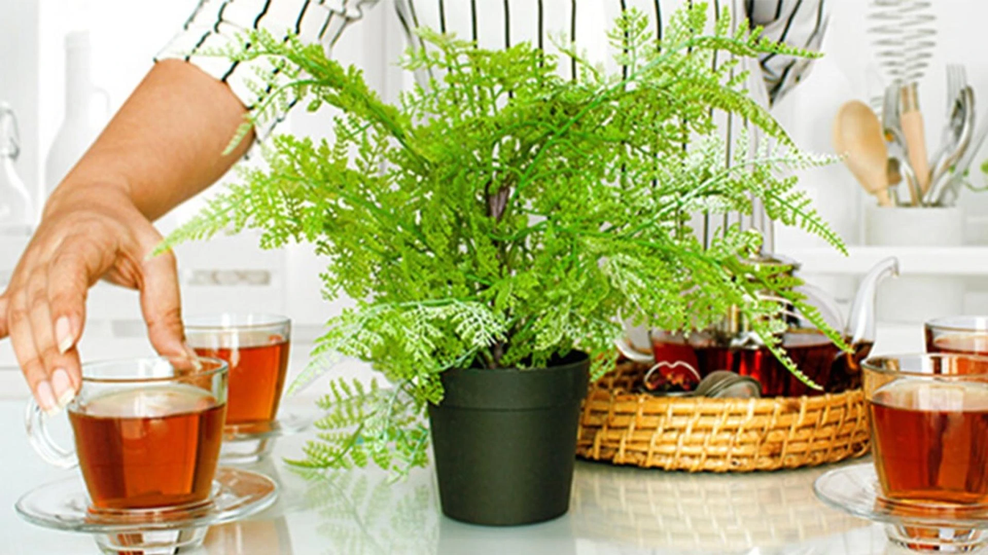 Some things you should know before buy black tea online