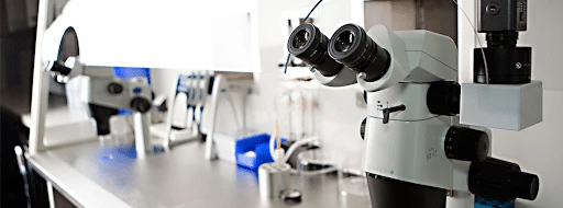 What Qualifications Do You Require To Be An Embryologist?